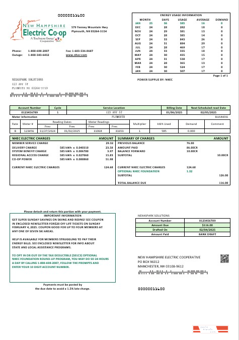 USA New Hampshire Electric Co op electricity business utility bill template in Word and PDF formats